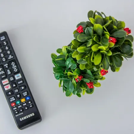 公寓 Alezzi Deluca Mamaia Nord *